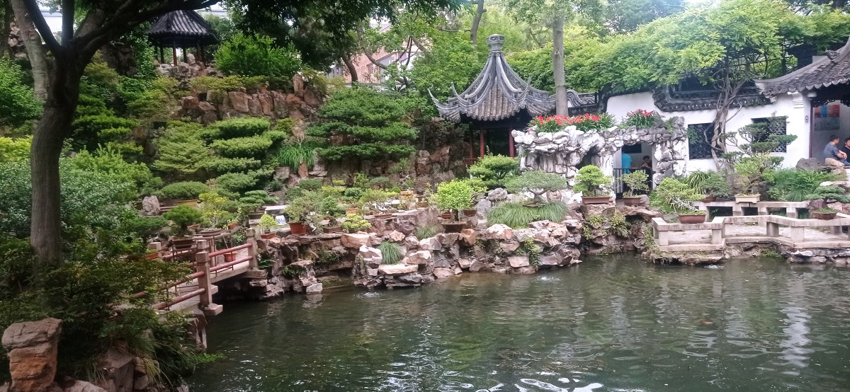 20250531_132027.jpg