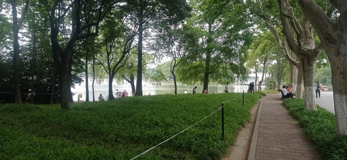 20250531_145344.jpg