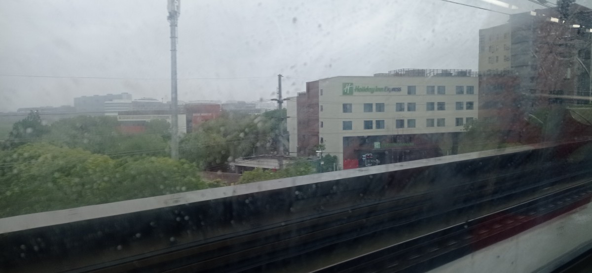 20250601_074222.jpg