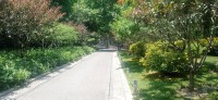 20250529_113617.jpg 20250529_113617.jpg