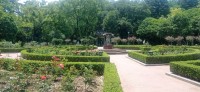 20250529_113714.jpg 20250529_113714.jpg