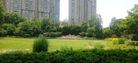 20250529_120158.jpg 20250529_120158.jpg