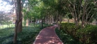 20250530_104521.jpg 20250530_104521.jpg