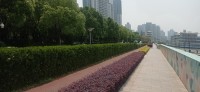 20250530_105705.jpg 20250530_105705.jpg