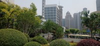 20250530_110639.jpg 20250530_110639.jpg