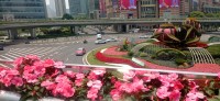 20250530_111955.jpg 20250530_111955.jpg