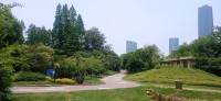 20250530_113510.jpg 20250530_113510.jpg