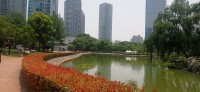 20250530_115925.jpg 20250530_115925.jpg