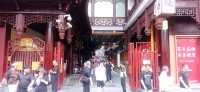 20250531_105843.jpg 20250531_105843.jpg