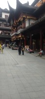 20250531_105952.jpg 20250531_105952.jpg