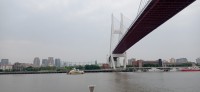 20250531_120429.jpg 20250531_120429.jpg
