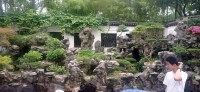 20250531_131703.jpg 20250531_131703.jpg
