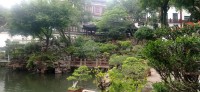 20250531_131908.jpg 20250531_131908.jpg