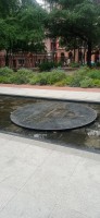 20250531_135239.jpg 20250531_135239.jpg