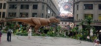 20250531_140541.jpg 20250531_140541.jpg
