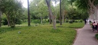 20250531_145210.jpg 20250531_145210.jpg