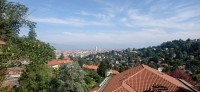 20250627_095118.jpg 20250627_095118.jpg