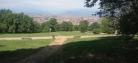 20250627_113505.jpg 20250627_113505.jpg