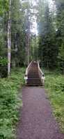 20250708_170410.jpg 20250708_170410.jpg