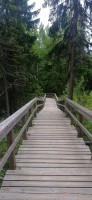 20250708_170736.jpg 20250708_170736.jpg