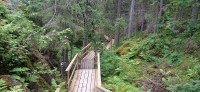 20250708_173836.jpg 20250708_173836.jpg