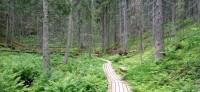20250709_084923.jpg 20250709_084923.jpg