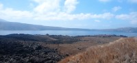 20250805_112316.jpg 20250805_112316.jpg