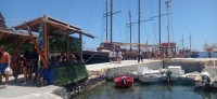 20250805_134819.jpg 20250805_134819.jpg