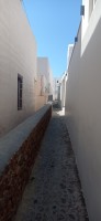 20250806_104425.jpg 20250806_104425.jpg