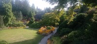 20250821_093736.jpg 20250821_093736.jpg
