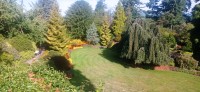 20250821_093815.jpg 20250821_093815.jpg