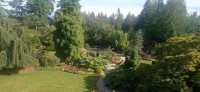 20250821_093816.jpg 20250821_093816.jpg