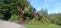 20250821_100204.jpg 20250821_100204.jpg
