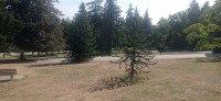 20250821_102847.jpg 20250821_102847.jpg
