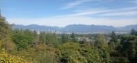 20250821_111316.jpg 20250821_111316.jpg