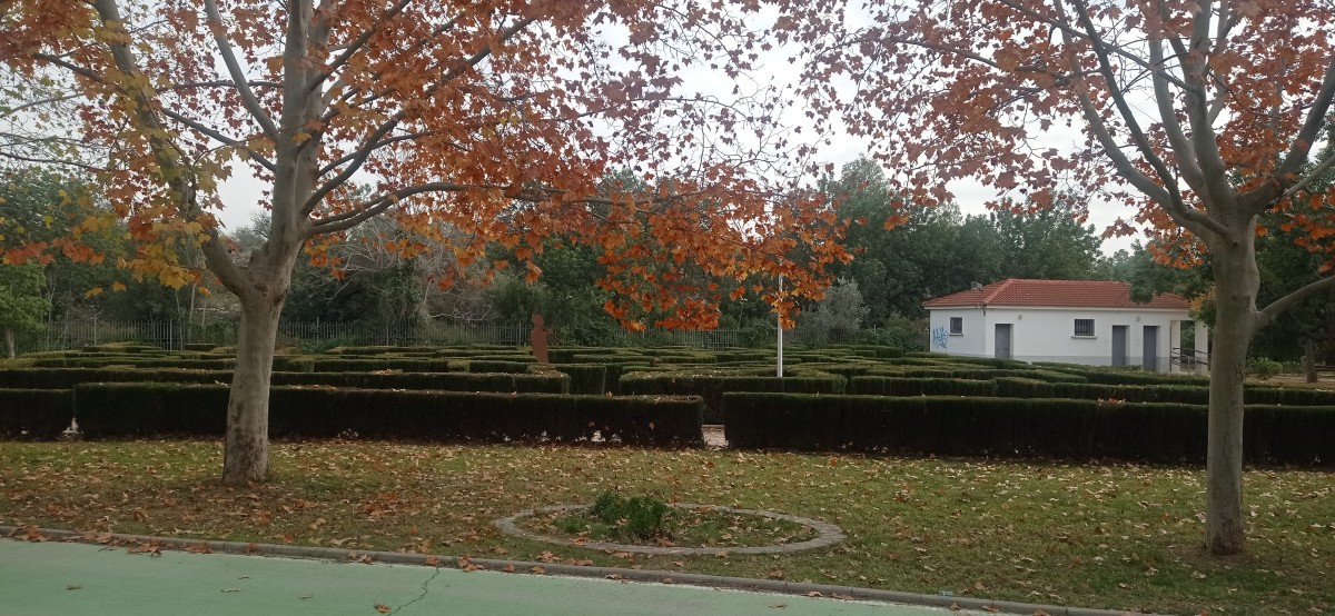 20251212_130502.jpg