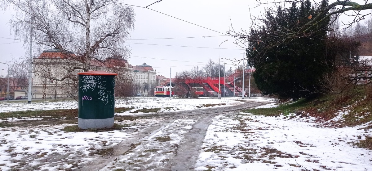 20260117_130943.jpg