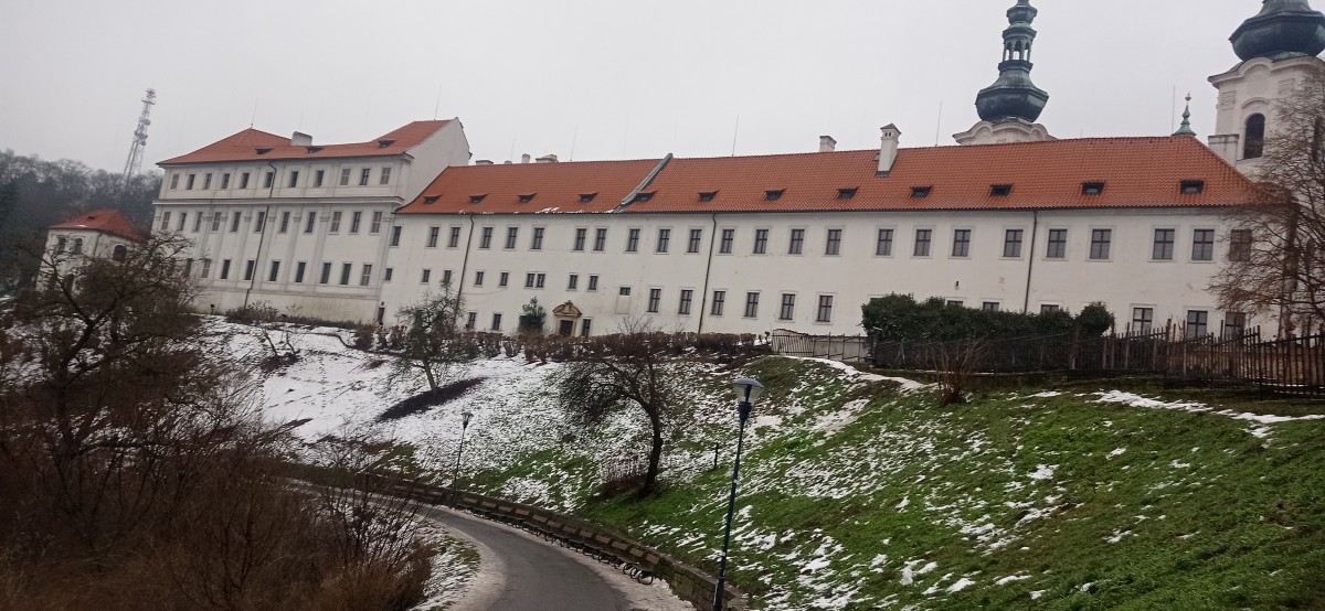 20260117_131818.jpg
