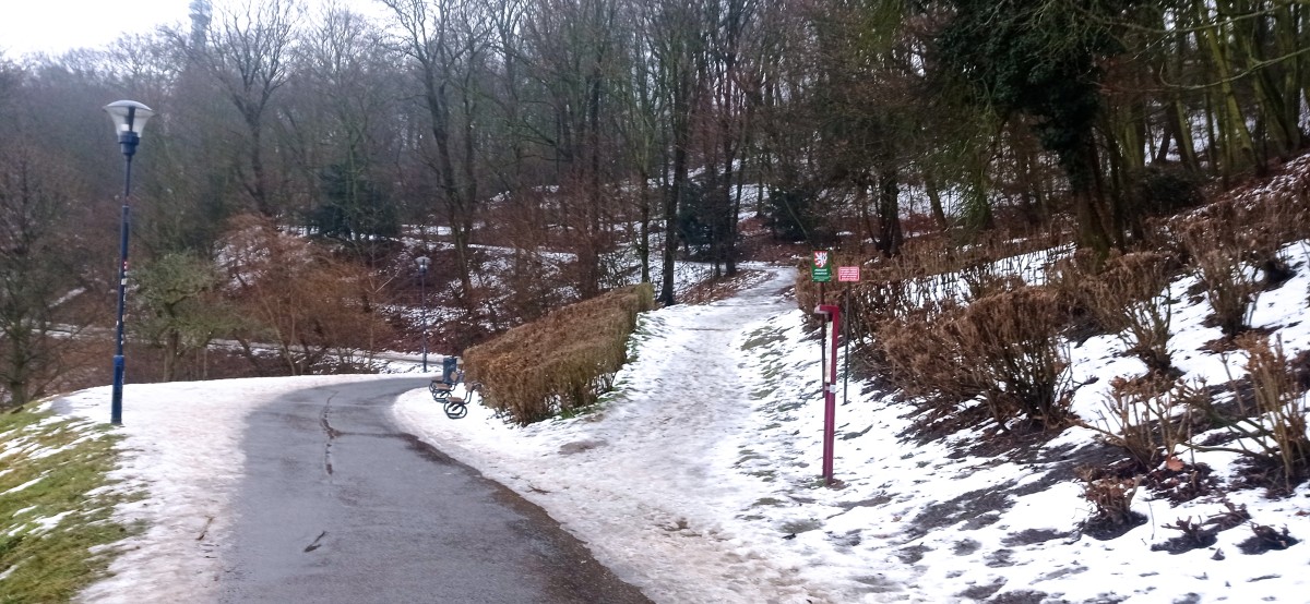 20260117_132115.jpg