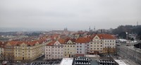 20260116_110323.jpg
