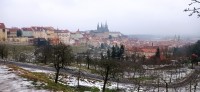20260117_132104.jpg