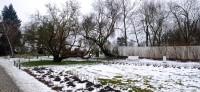 20260117_133515.jpg