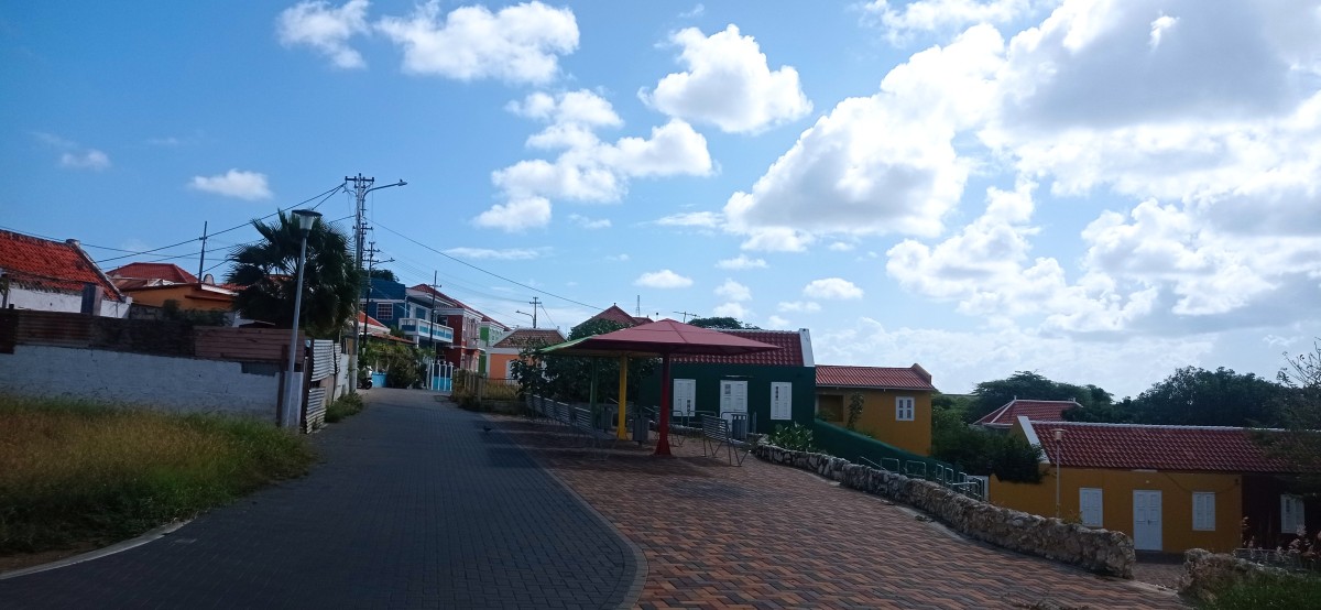 20260121_101840.jpg