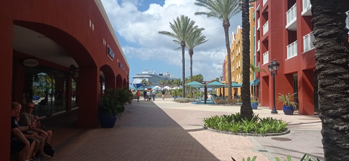 20260121_115832.jpg