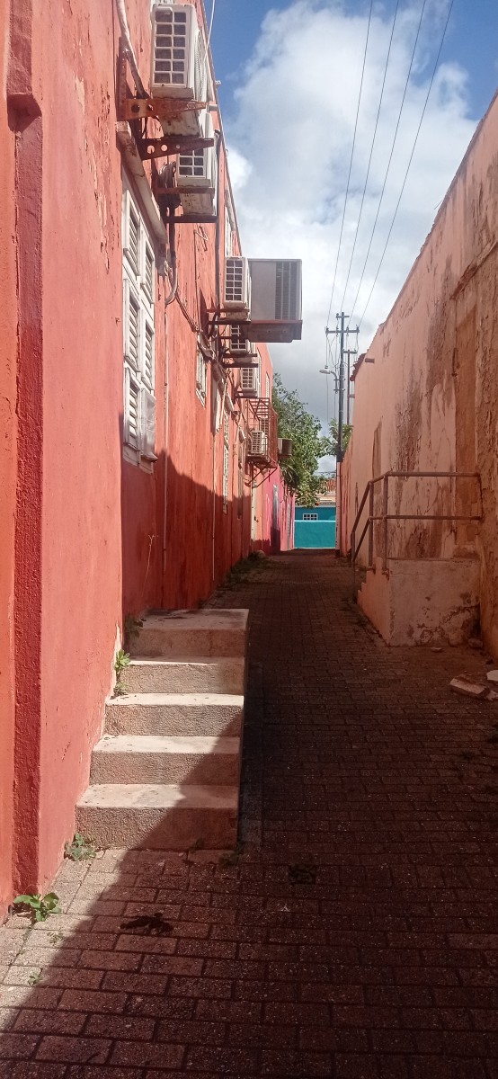 20260122_105225.jpg