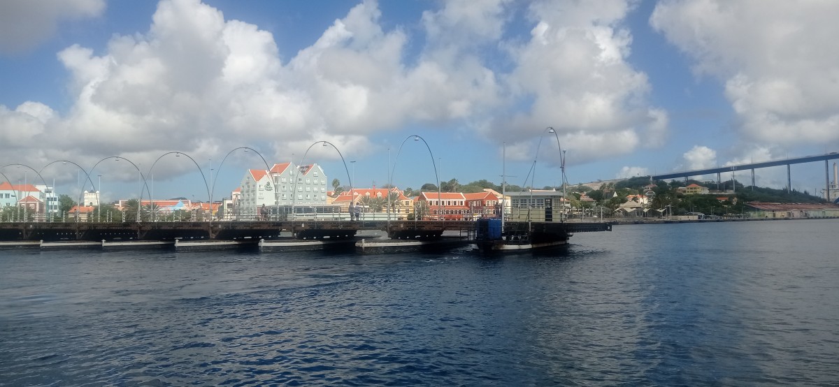 20260123_104647.jpg