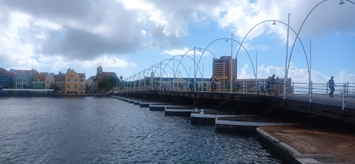 20260123_105417.jpg