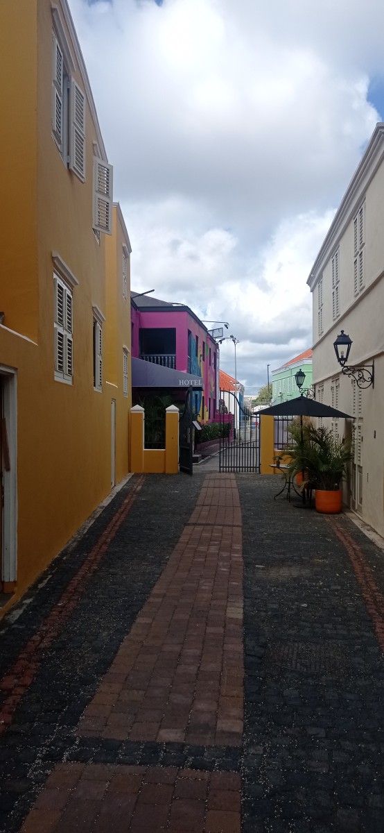 20260123_110511.jpg