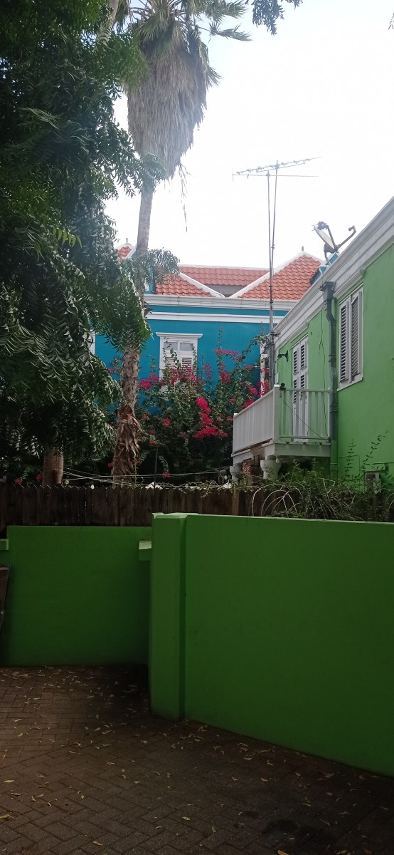 20260123_112357.jpg
