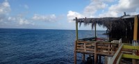20260121_085433.jpg
